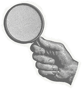 Observe